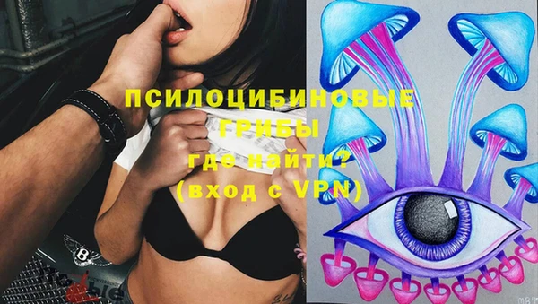 альфа пвп Няндома