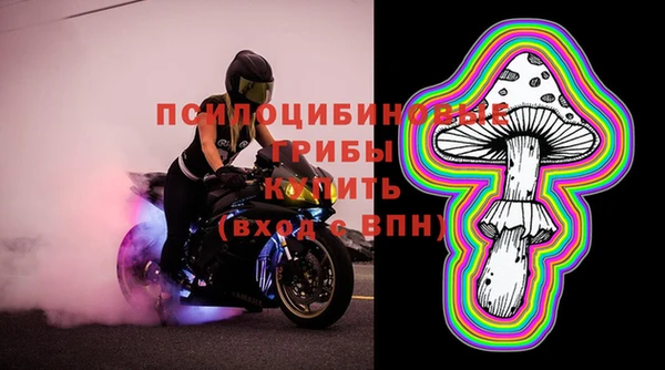 альфа пвп Няндома
