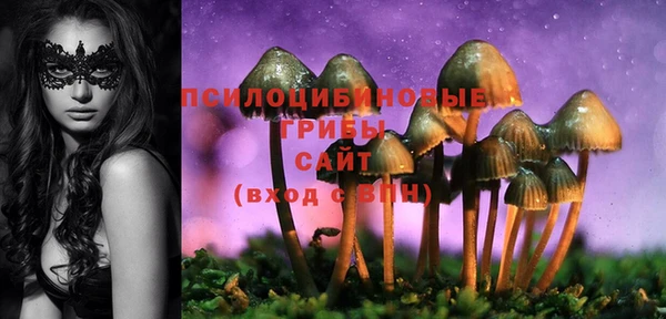 ECSTASY Нягань