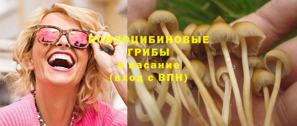 альфа пвп Няндома