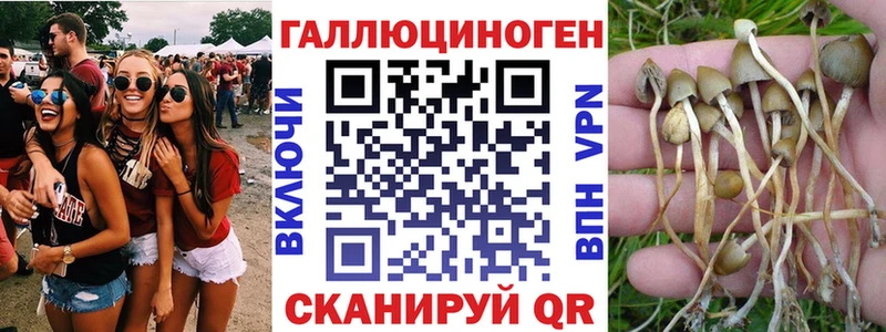 Псилоцибиновые грибы прущие грибы  Алдан 