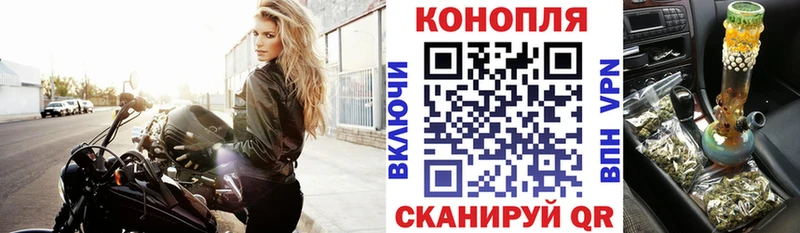 купить   Алдан  Канабис сатива 